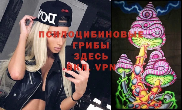 молекула духа Гусь-Хрустальный