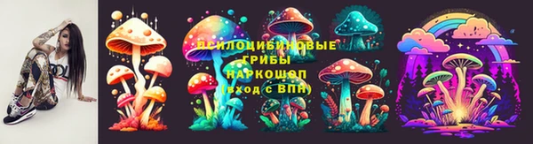 соль ск Гусиноозёрск