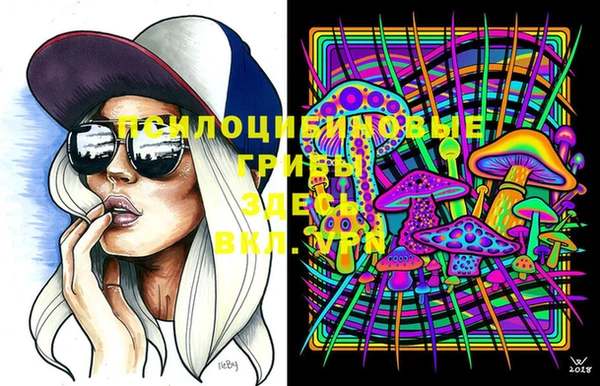 молекула духа Гусь-Хрустальный