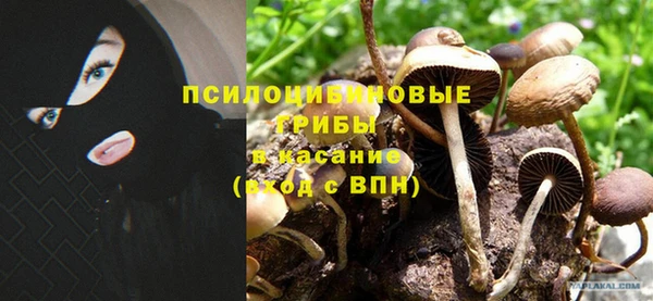 молекула духа Гусь-Хрустальный