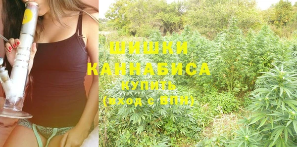 каннабис Гусев
